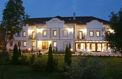 ✔️ Villa Völgy Wellness Hotel Eger ****