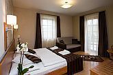 Double room for wellness weekend in Eger in Hotel Villa Volgy