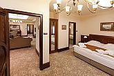 Tarcal hotels - Andrassy Hotel Wine Spa - wellness hotel in Tarcal - double room