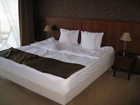 Standard Plus double room of the wellness and conference hotel Szepia Bio Art in Zsambek