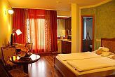 Double room in Hotel Amira Heviz - exclusive wellness hotel in Heviz