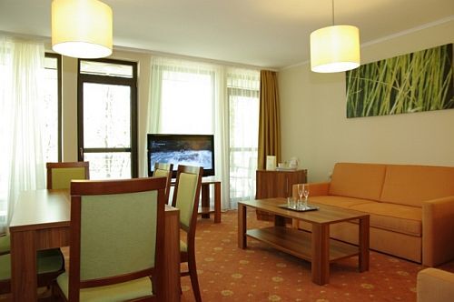 Wellness Hotel Gyula 4* - Nice and spaceful apartment