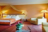 Elegant wellness hotel in Cserkeszolo 4* Aqua-Spa Wellness Hotel