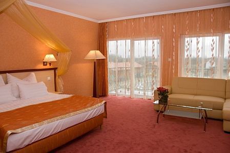 Free hotel room in Cserkeszolo in Aqua-Spa Wellness Hotel****