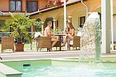 Vinum Wellness Hotel Kiskőrös - wellness packages for wellness weekend