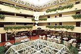 Thermal Hotel Sarvar - Atrium Espresso - Danubius Health Spa Resort Sarvar - 4-star hotel in Sarvar